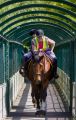 Horse Riders, Buck Lane bridge