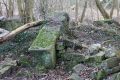 Lichen Covered stone, Buck Mill site