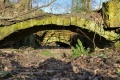 Buck Mill mill race